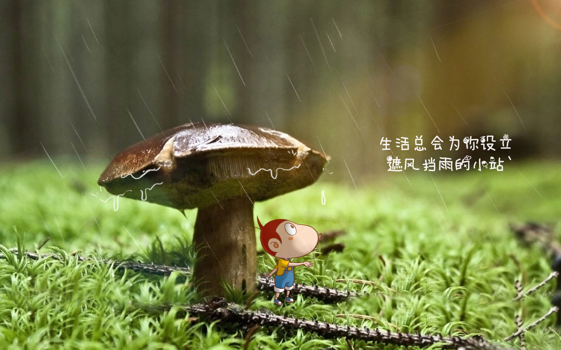 KAIYUNAPP-“真实故事:球员运动员背后的奋斗故事”,运动员成功背后的故事