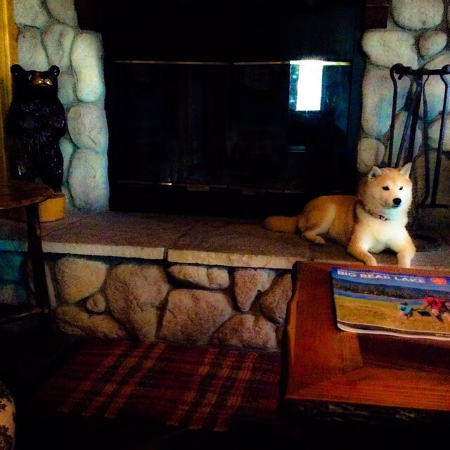 开云体育网站入口-历史性冲线瞬间：惊喜逆转夺冠，历史性突破是什么意思